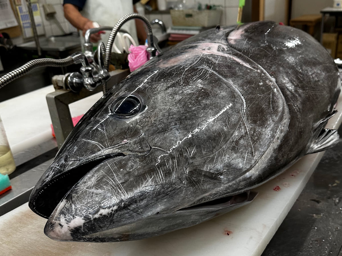マグロ解体ショーの様子