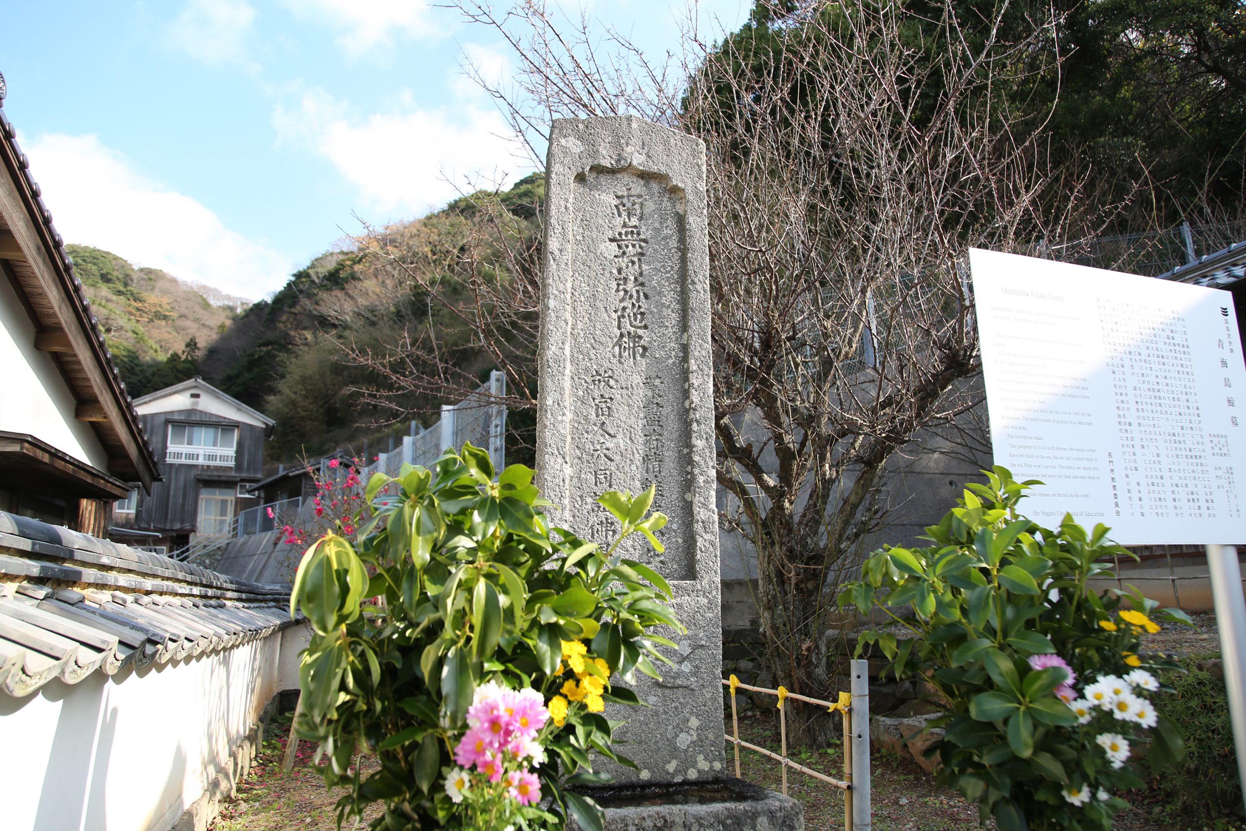 青海島鯨墓 | 山口県長門市観光サイト ななび