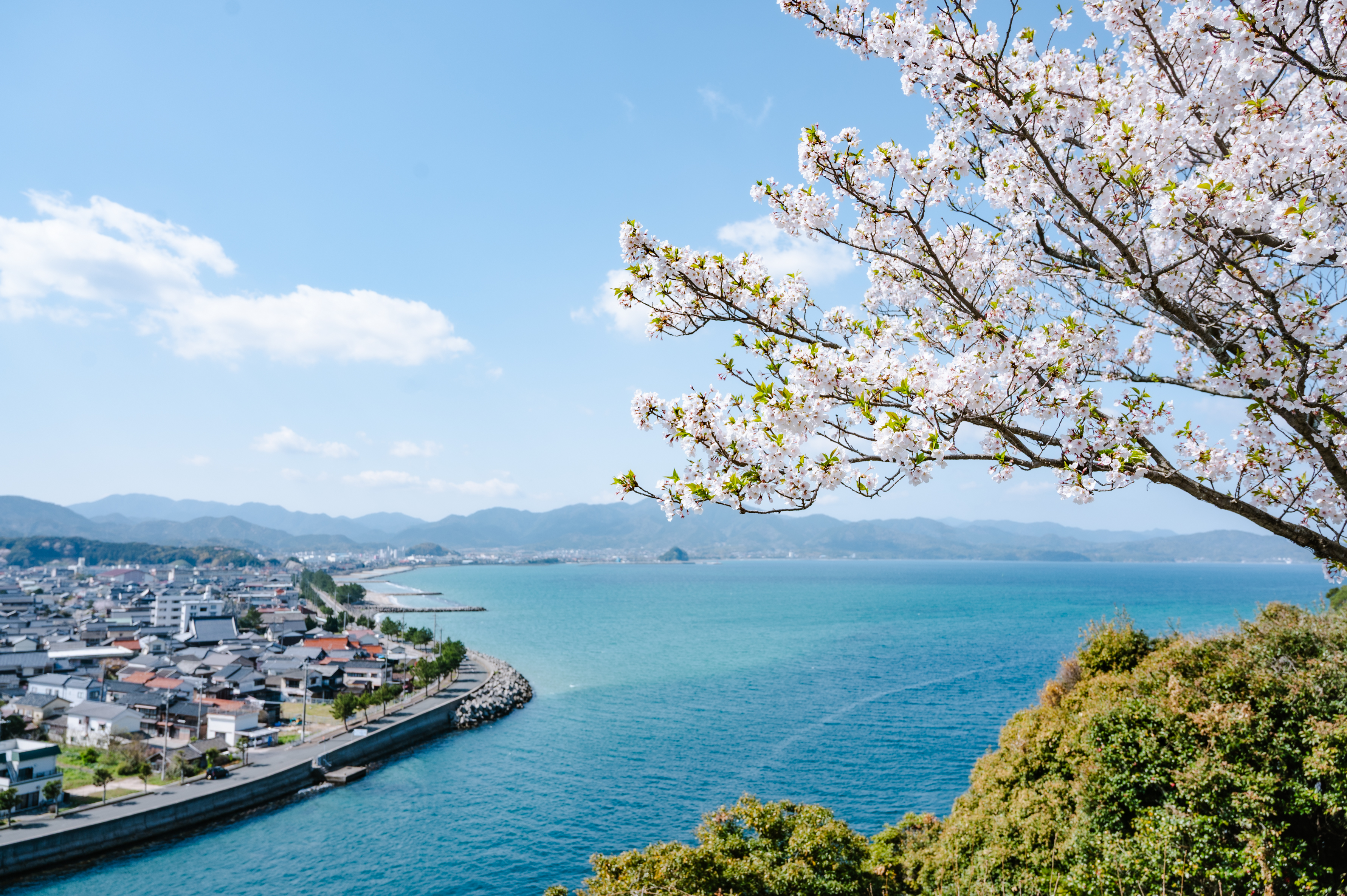 王子山公園 | 山口県長門市観光サイト ななび
