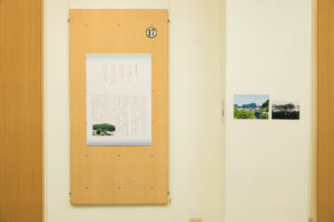 金子みすゞ記念館企画展「青海島とみすゞの想い出」