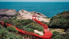 日本海の青い海と緑の崖に沿って、朱色の鳥居が連なる元乃隅神社の全景。