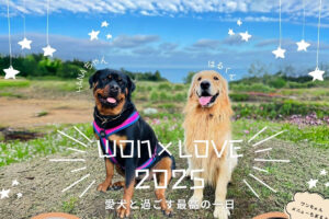 棚田の花段「WON×LOVE 2025」